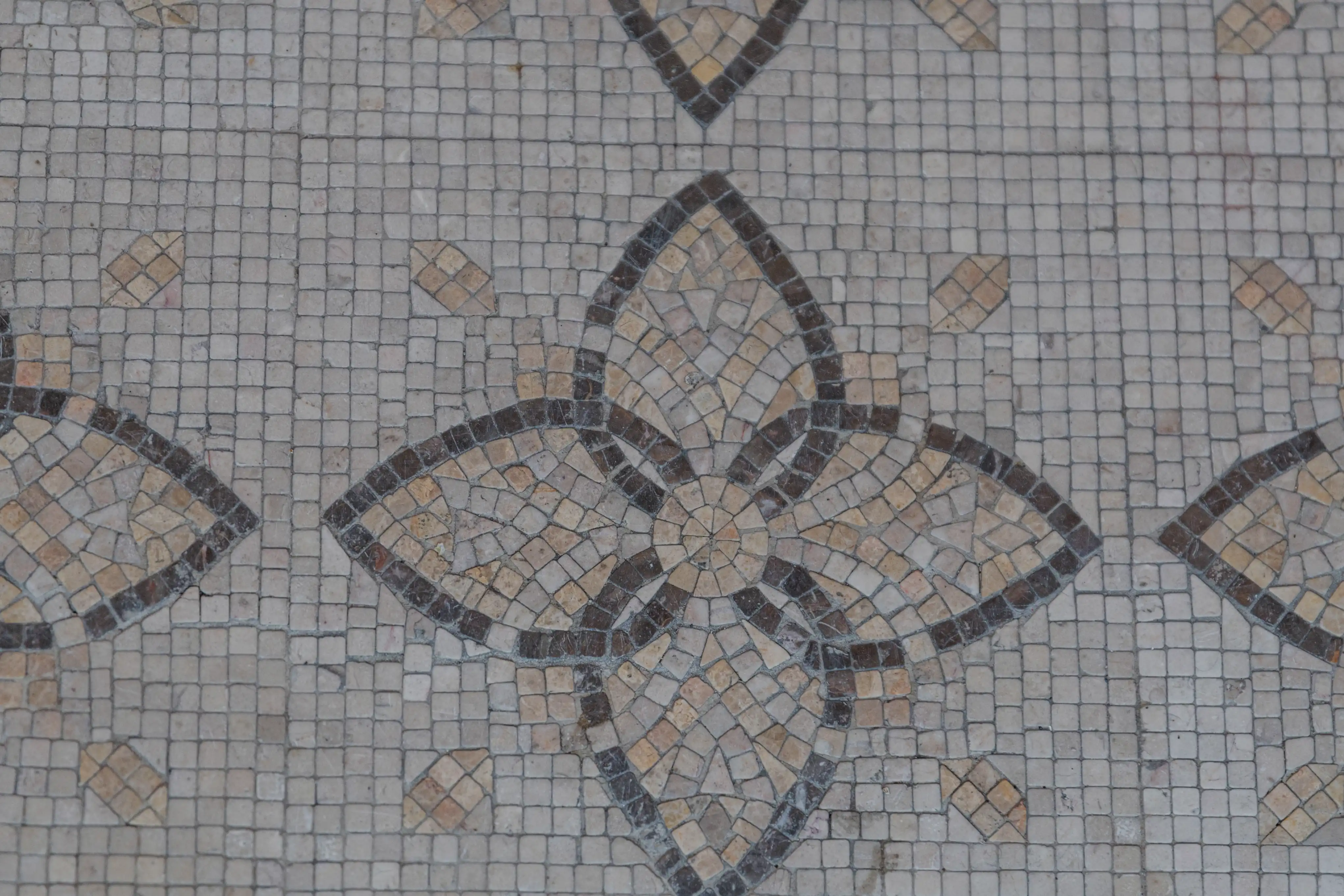 Commercial Club event catering services